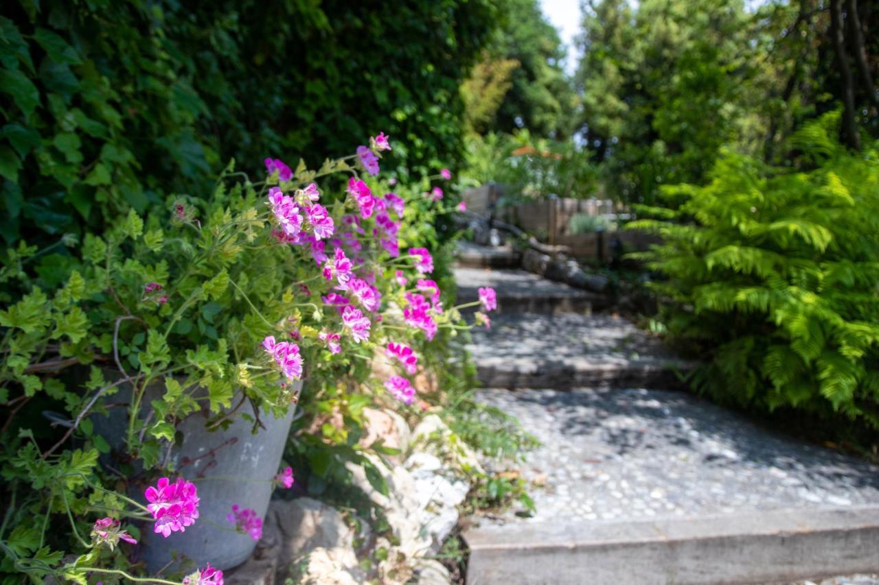 Bed and Breakfast Le Mazet De Tourrettes Экстерьер фото