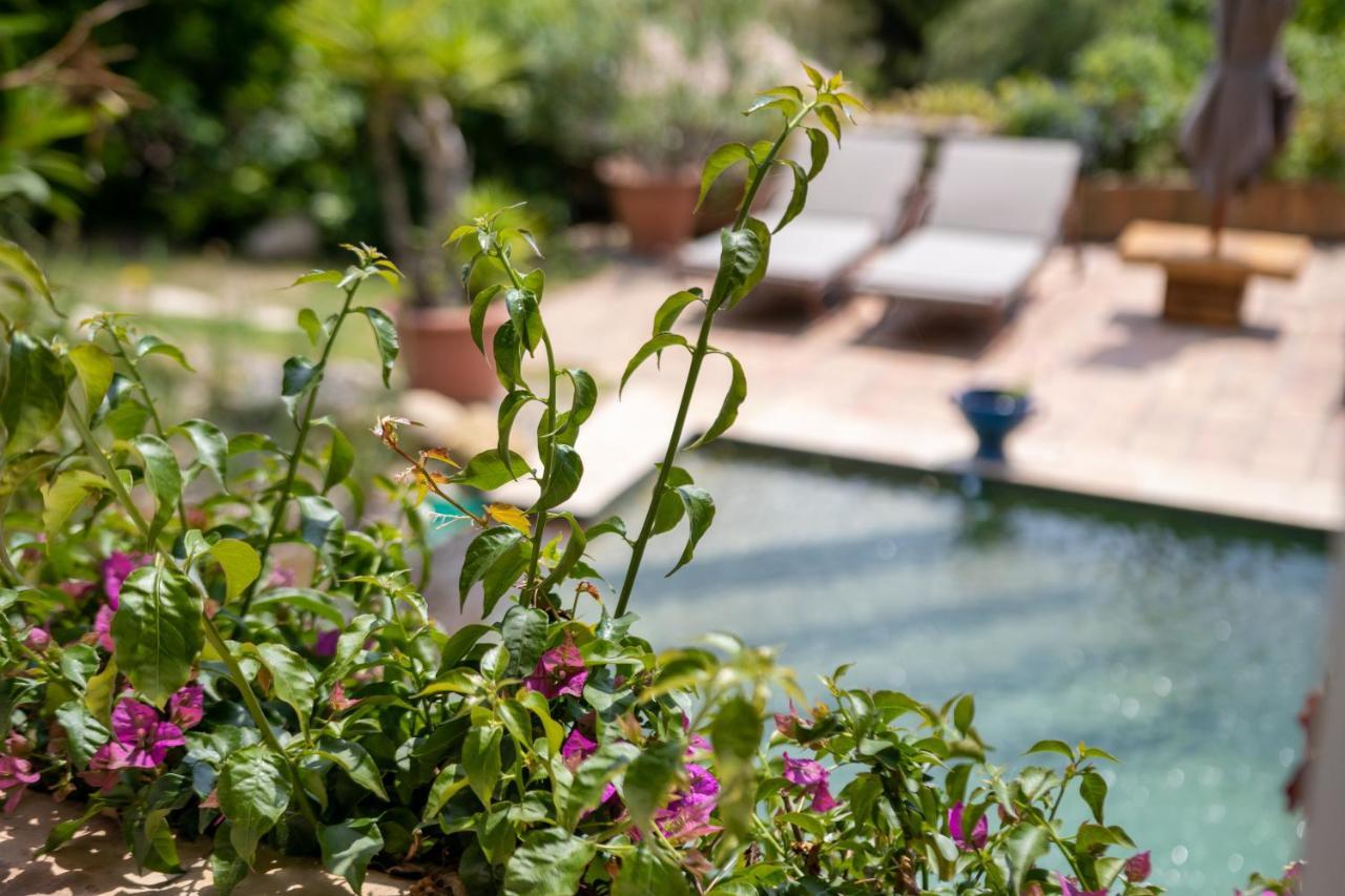 Bed and Breakfast Le Mazet De Tourrettes Экстерьер фото